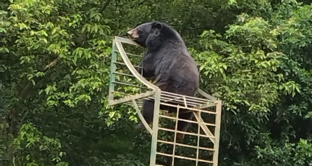Assam State Zoo